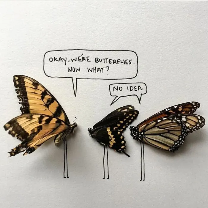 Artist Uses Insects To Make Fun And Quirky Cartoons, Here Are Her Best 70 Works