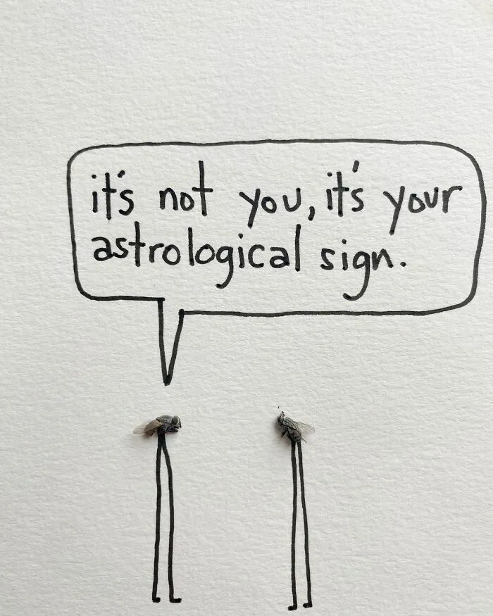 Artist Uses Insects To Make Fun And Quirky Cartoons, Here Are Her Best 70 Works