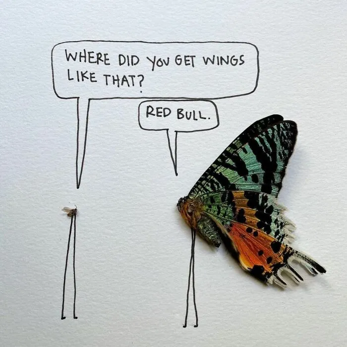 Artist Uses Insects To Make Fun And Quirky Cartoons, Here Are Her Best 70 Works
