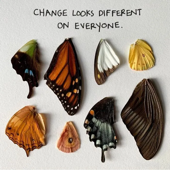 Artist Uses Insects To Make Fun And Quirky Cartoons, Here Are Her Best 70 Works