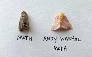 Artist Uses Insects To Make Fun And Quirky Cartoons, Here Are Her Best 70 Works