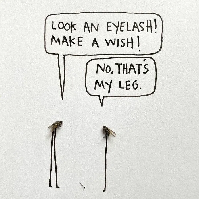 Artist Uses Insects To Make Fun And Quirky Cartoons, Here Are Her Best 70 Works