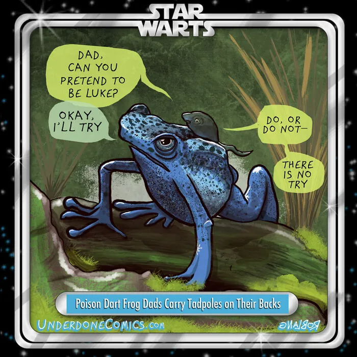 Poison Dart Frog Dads Are Always Up For Giving Piggy-Back Rides