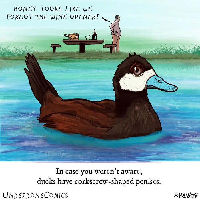 Luckily Duck Moms Have Inverted-Corkscrew Parts