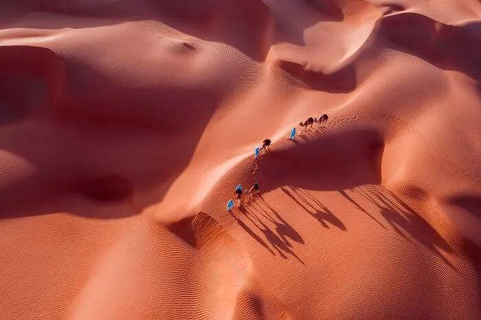 Travel By Camels