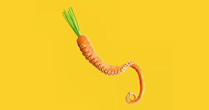 100 Photo Manipulations Of Animals Photoshopped Into The Most Random Things By Les Creatonautes 