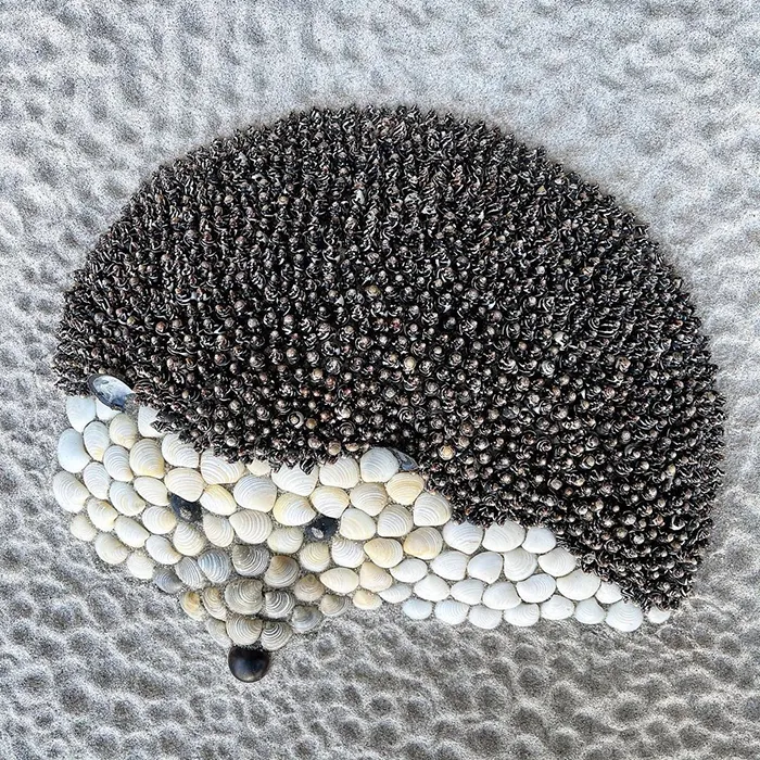 This Artist Creates Captivating Animal Portraits From Seashells Found At The Beach (30 Pics)
