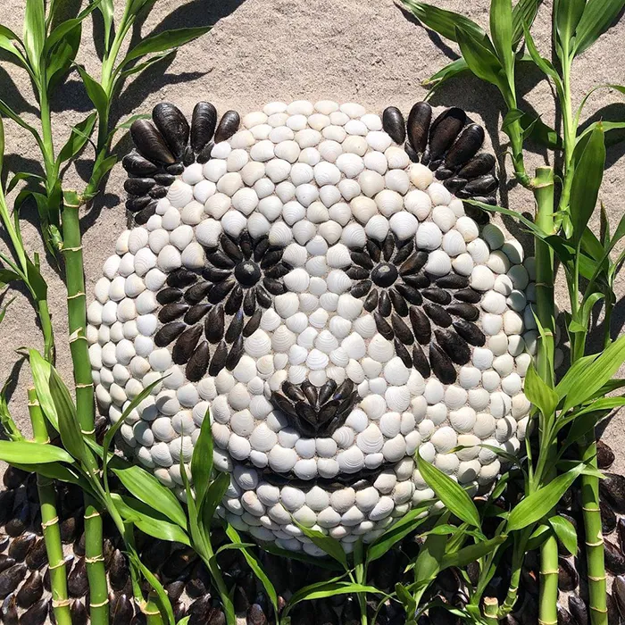 This Artist Creates Captivating Animal Portraits From Seashells Found At The Beach (30 Pics)