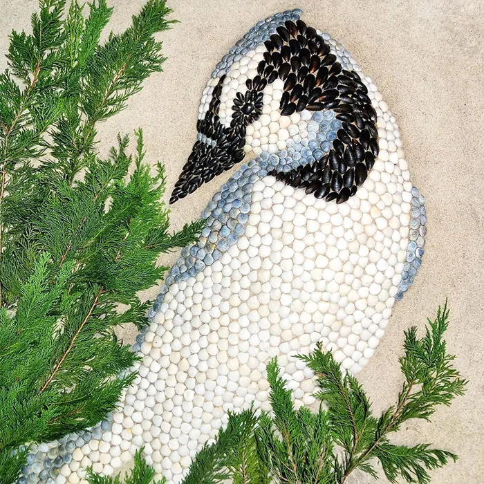 This Artist Creates Captivating Animal Portraits From Seashells Found At The Beach (30 Pics)