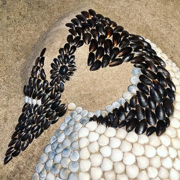 This Artist Creates Captivating Animal Portraits From Seashells Found At The Beach (30 Pics)