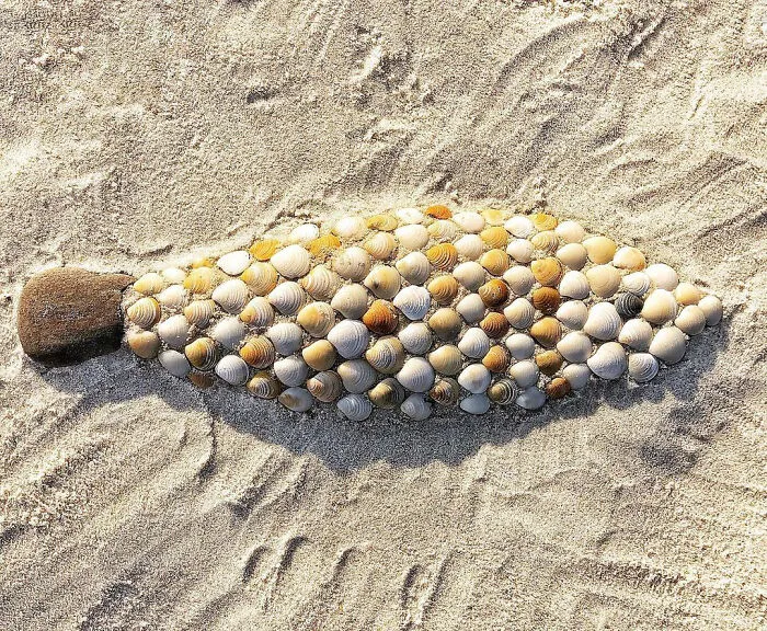 This Artist Creates Captivating Animal Portraits From Seashells Found At The Beach (30 Pics)