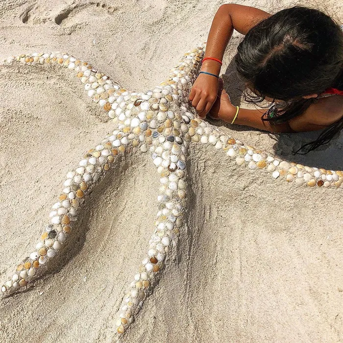 This Artist Creates Captivating Animal Portraits From Seashells Found At The Beach (30 Pics)
