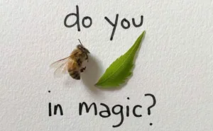 Artist Uses Insects To Make Fun And Quirky Cartoons, Here Are Her Best 70 Works