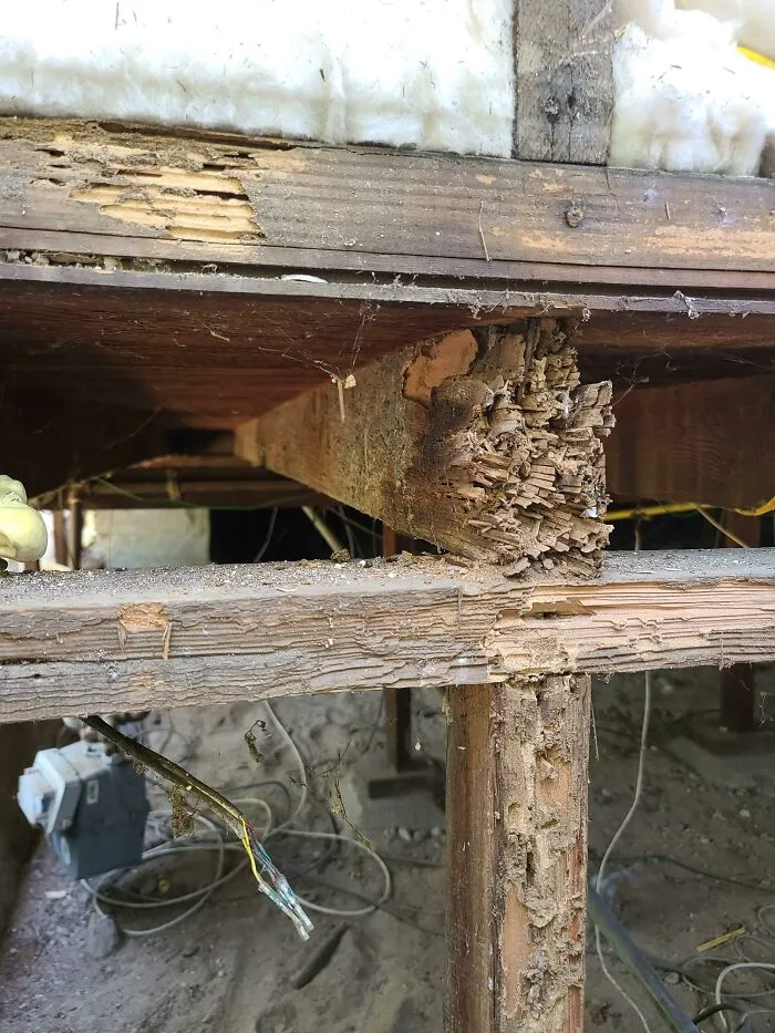 22 «Pesadillas» y «milagros» vistos durante inspecciones estructurales (nuevas fotos)