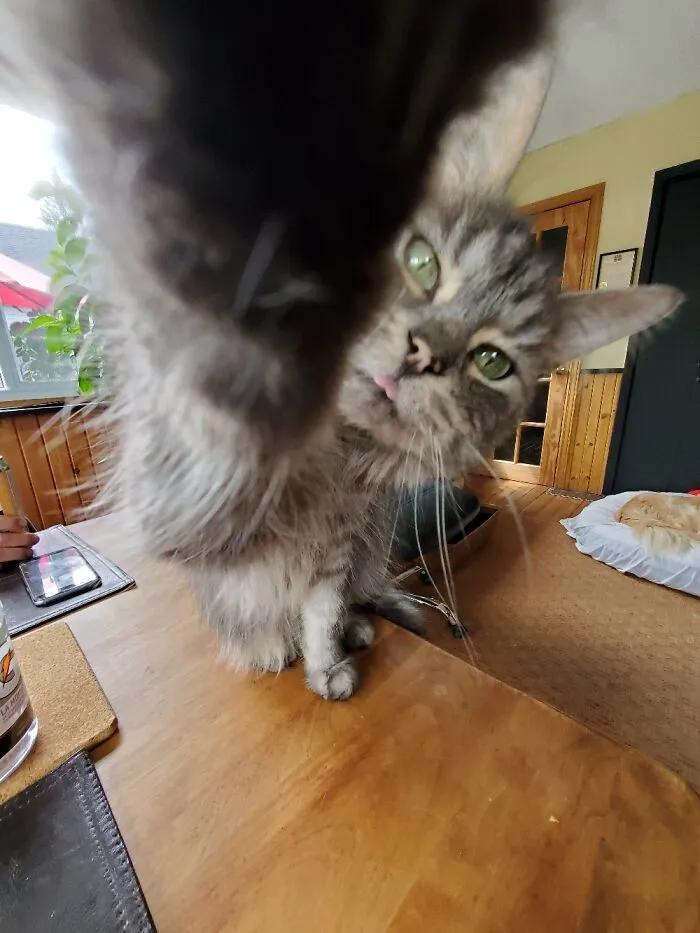 You Shall Not Pass!