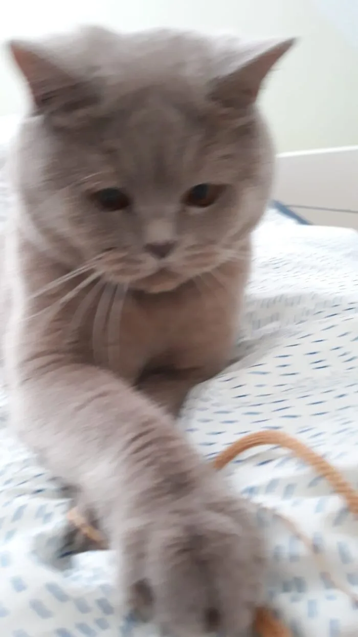 Just A String...