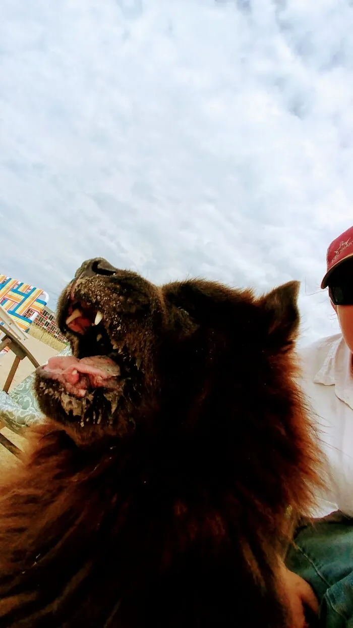 Cleveland's 1st Trip To The Beach!