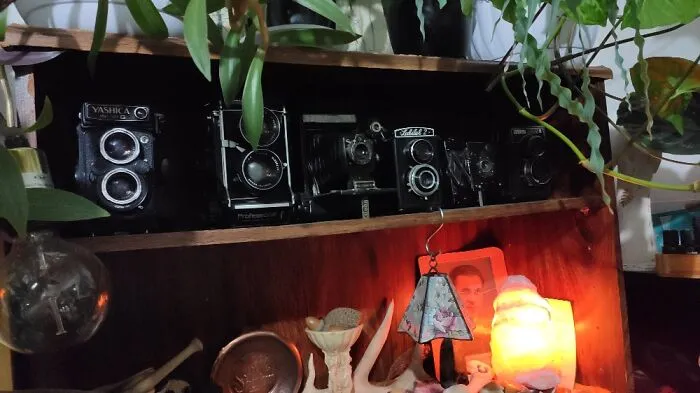 Tlr Cameras! They're All Functional, And My Oldest Is From WWI