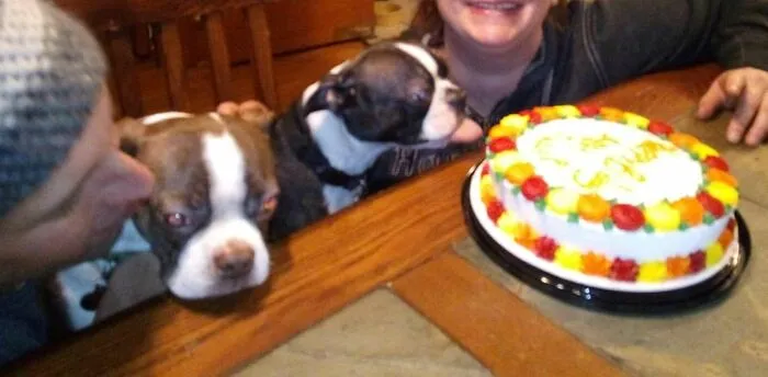 Dubbs Licking My Birthday Cake.  Lol