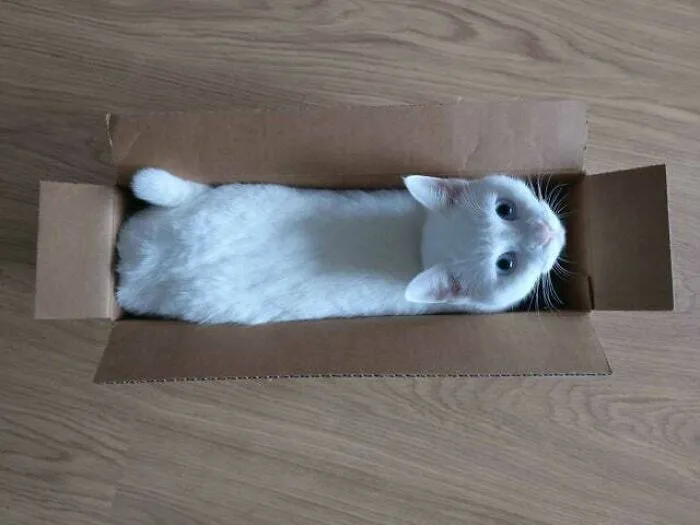This Is How Loaves Are Made