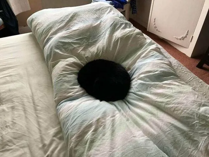Agujero negro sobre una colcha