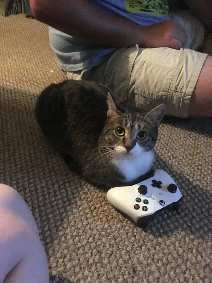 Can I Play Too?