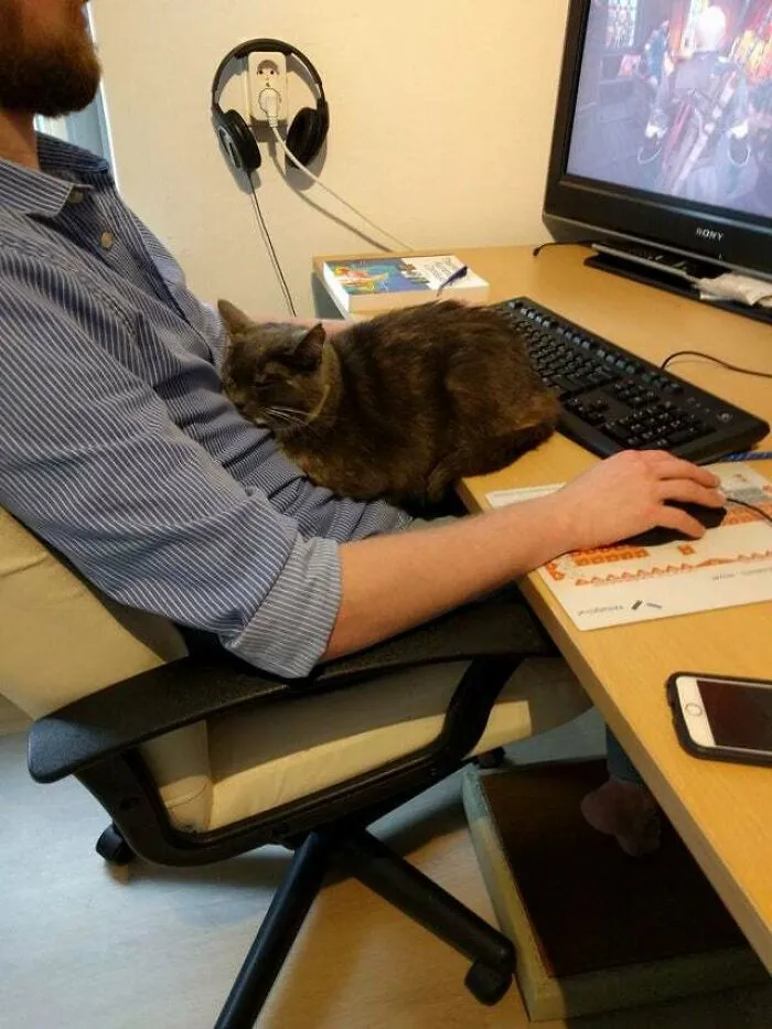 I Can Loaf Here!