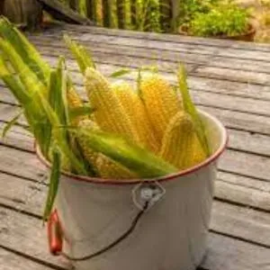 Cornbin