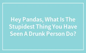 Hey Pandas, What Is The Stupidest Thing You Have Seen A Drunk Person Do? (Closed)