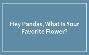 Hey Pandas, What Is Your Favorite Flower?
