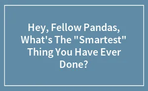 Hey, Fellow Pandas, What's The "Smartest" Thing You Have Ever Done? (Closed)