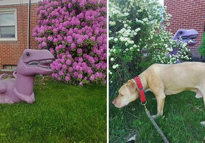 We Came Home From Vacation To Find This Dinosaur "Planted" In My Garden