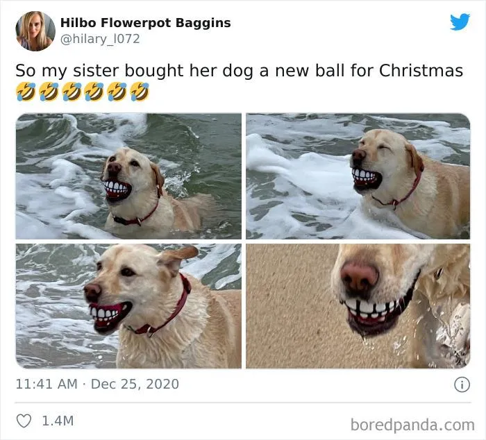 Ball Toy