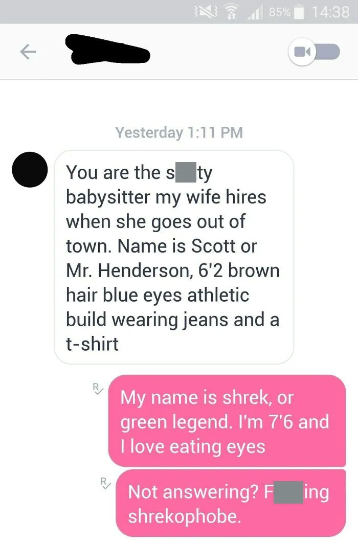 Smh, Who Wouldn't Date Shrek?