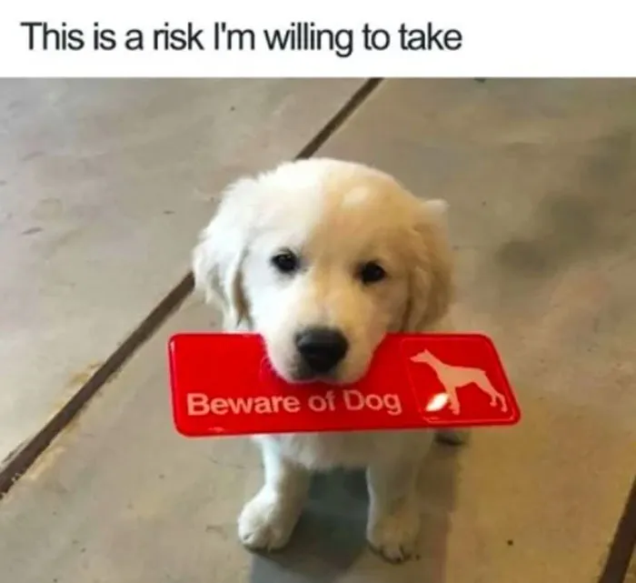 40 Truthful Memes About What It's Like To Have A Dog
