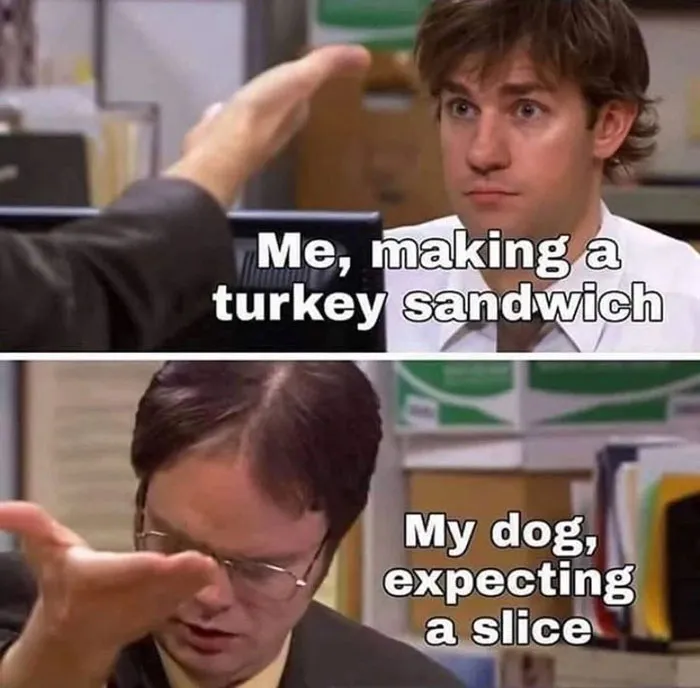 40 Truthful Memes About What It's Like To Have A Dog