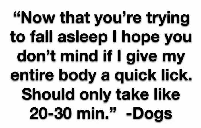 40 Truthful Memes About What It's Like To Have A Dog