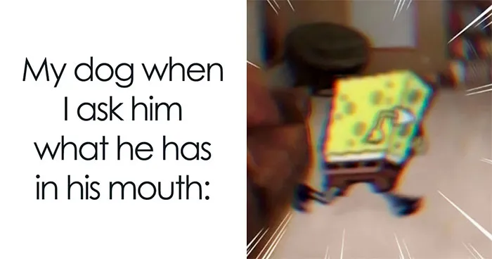 40 Truthful Memes About What It's Like To Have A Dog