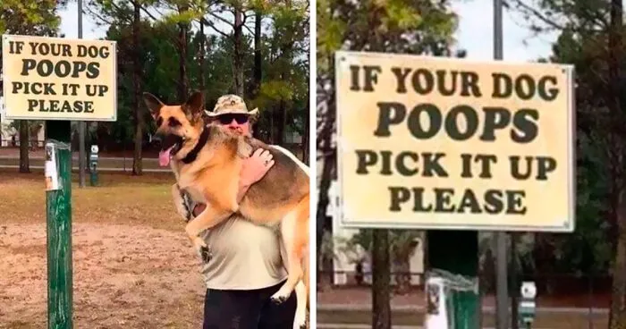 40 Truthful Memes About What It's Like To Have A Dog