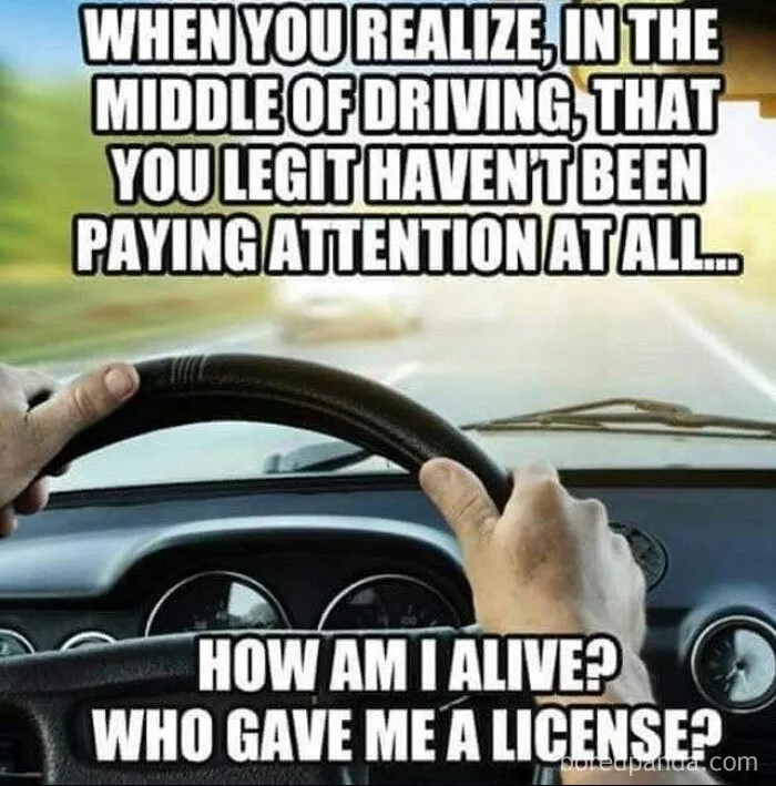 35 Of The Best Car Memes To Laugh At When You're Stuck In Traffic