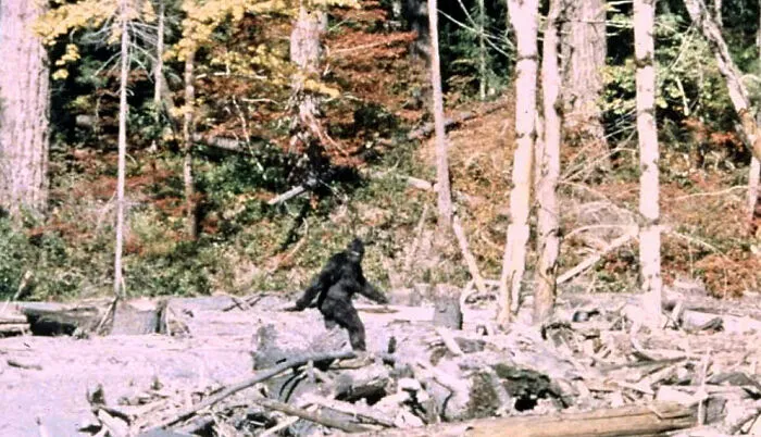 La filmación de Patterson-Gimlin sobre Pie Grande
