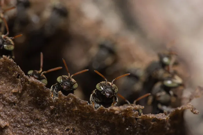 40 'Facts You Probably Didn't Know That Could Save Your Life'