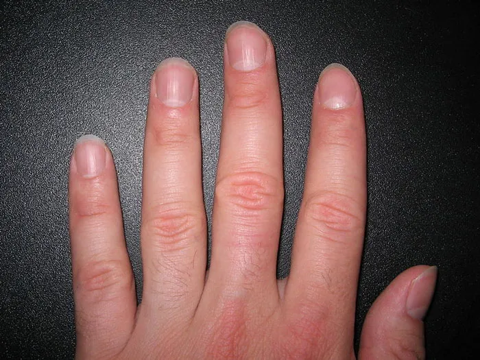 40 'Facts You Probably Didn't Know That Could Save Your Life'