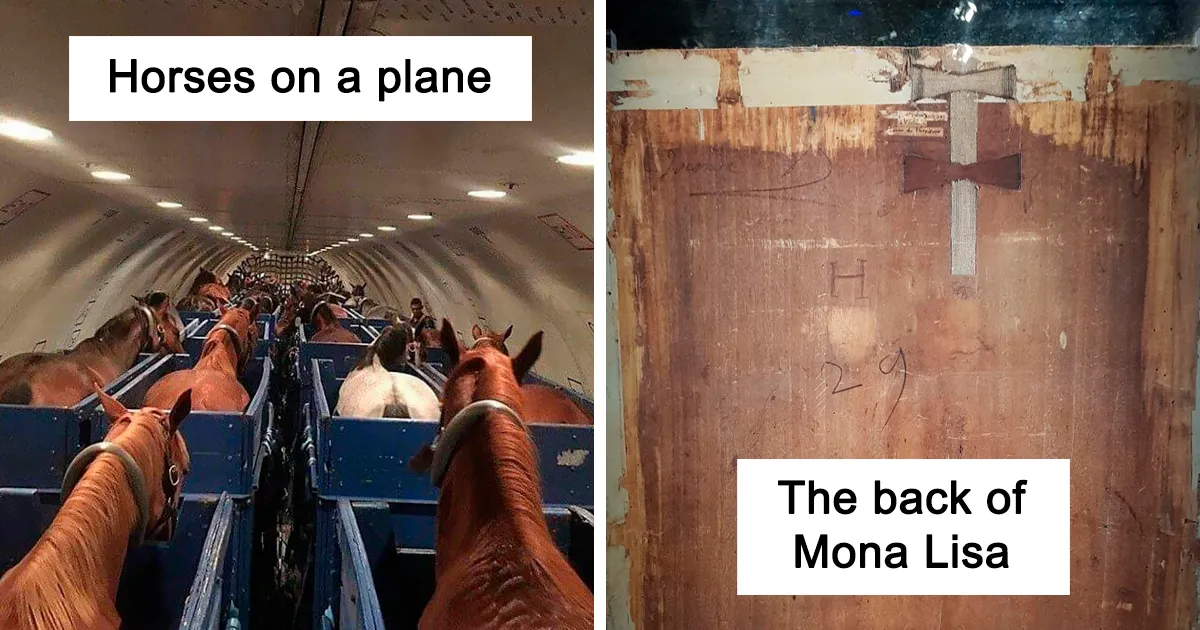 48 Rare Photos That Reveal The Unseen Side Of Things (New Pics)