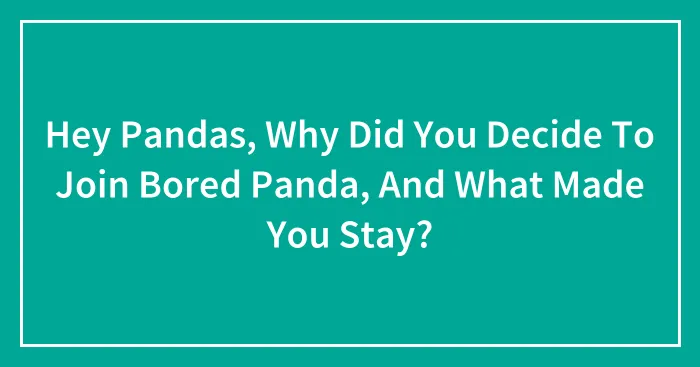 Hey Pandas, Why Did You Decide To Join Bored Panda, And What Made You Stay? (Closed)