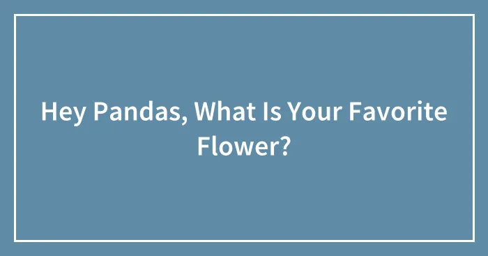 Hey Pandas, What Is Your Favorite Flower?