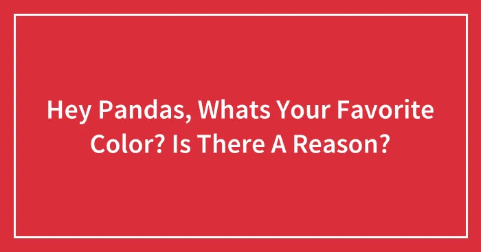Hey Pandas, Whats Your Favorite Color? Is There A Reason?
