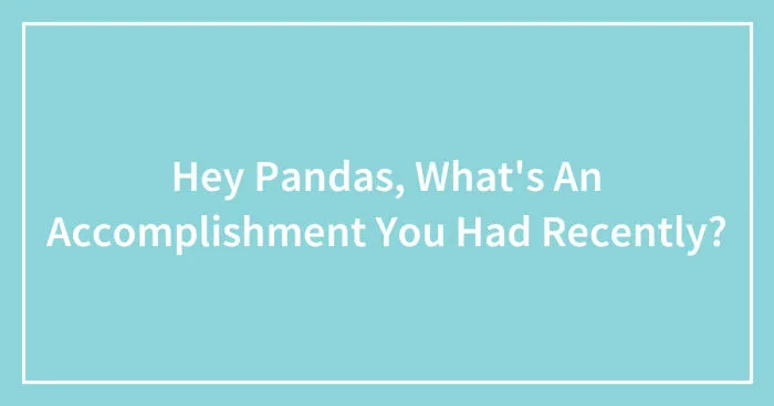 Hey Pandas, What's An Accomplishment You Had Recently? (Closed)
