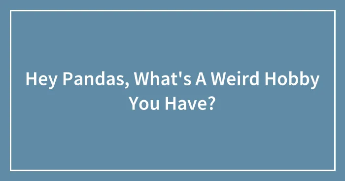 Hey Pandas, What's A Weird Hobby You Have? (Closed)