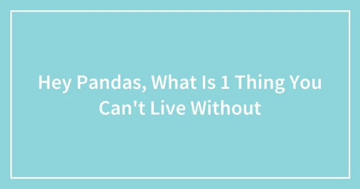 Hey Pandas, What Is One Thing You Can't Live Without (Closed)